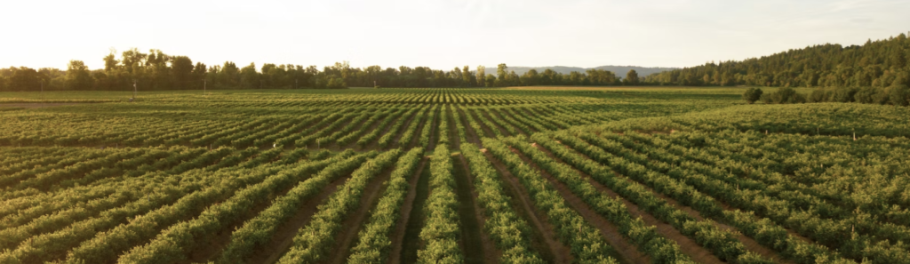 Omidyar family office as an important AgTech startup investor
