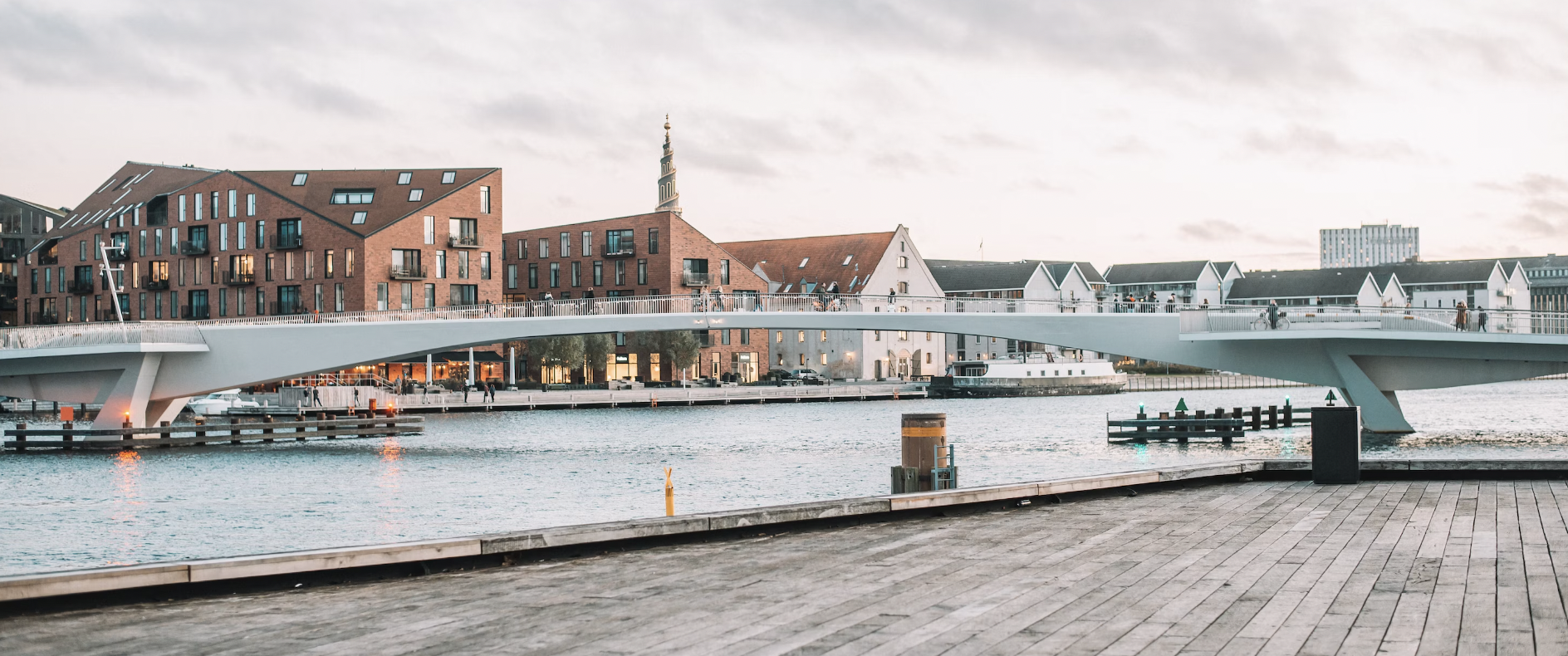 Study: 62% of single family offices in Denmark invest in Private Equity [2024]